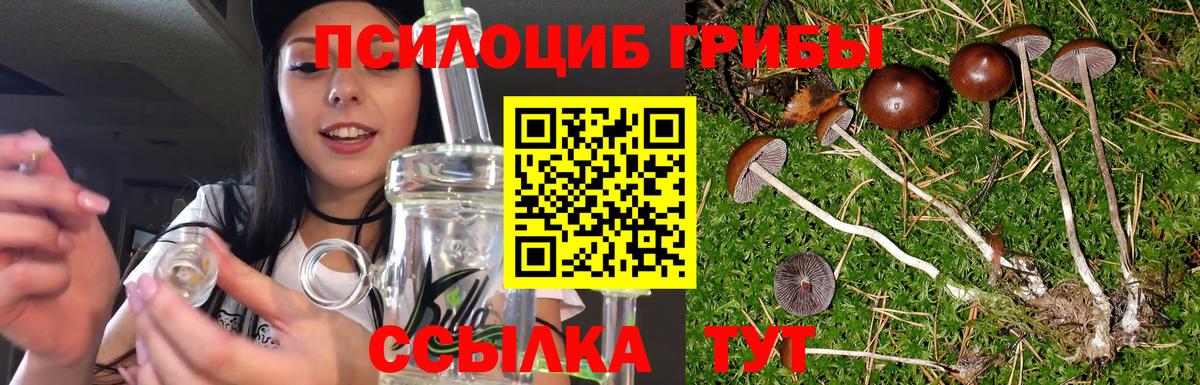 Галлюциногенные грибы Cubensis Нижневартовск